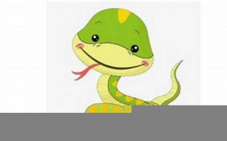 梦见蛇代表什么(同房后梦见蛇代表什么)