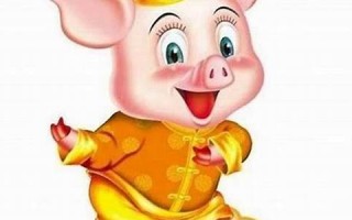 属猪人2021年下半年运势及运程(属猪人2021年下半年运势及运程女性)