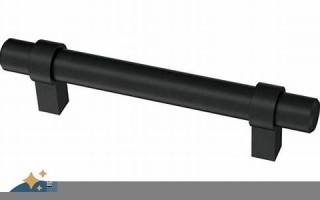 5.3(5.3天天练答案)