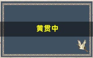 黄贯中(黄贯中的老婆个人资料)