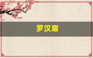 罗汉眉(罗汉眉不是一般人吗)