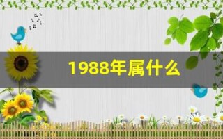1988年属什么(1988年属什么龙)