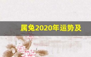 属兔2020年运势及运程(属兔2025年的运势及运程)