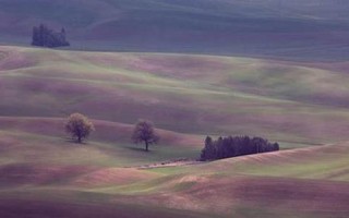 2014生肖运势(2014年生肖属相)