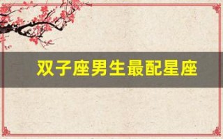 双子座男生最配星座(双子座男生最佳配对星座)