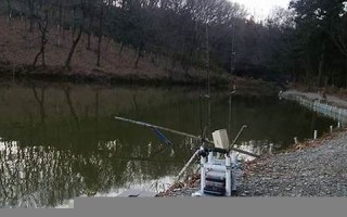 2016年1月28日(2016年1月28日出生是什么命格)