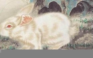 87年属什么的(18年出生属什么)