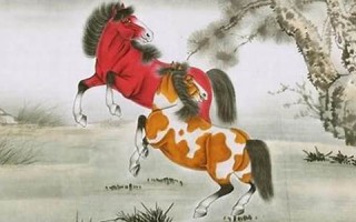 属马人2013年运势(属马人2024年全年运势详解)