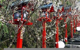 4月5日(4月5日什么节日)