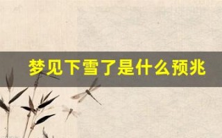 梦见下雪了是什么预兆(做生意的女人梦见下雪了是什么预兆)