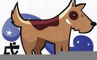 属狗人2013年运势(属狗人2025年全年运势 女性)