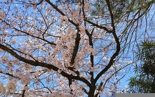 2022年1月18日黄道吉日(2921年1月18日黄历)