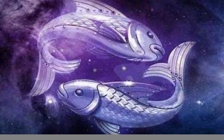 属鸡人的婚姻与命运(属鸡人的婚姻与命运相配吗)