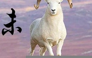 属羊2023年的运势及运程(1991年属羊33岁有一道坎)