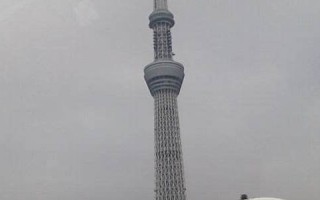 2012年11月25日(2012年11月25日出生是什么命)