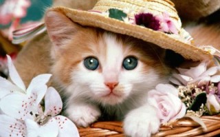 手相图解事业线(手相图解事业线是哪条)