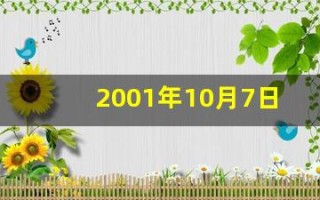 2001年10月7日(2001年10月7日出生是什么命)