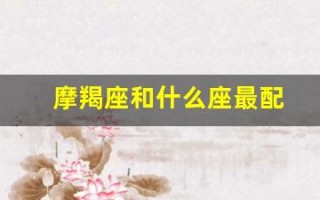 摩羯座和什么座最配(双子座和什么座最配)