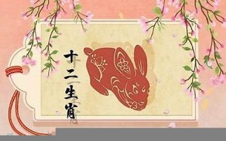 属兔的几月出生好(属兔的几月出生好不好)