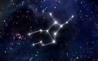 黑处女座(黑处女座的都是什么人啊)