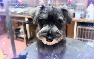 8月9日(8月9日是什么星座)