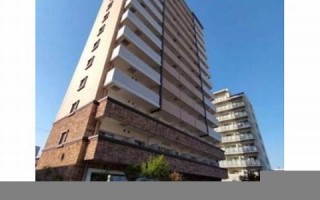 11.23(1123是什么意思)