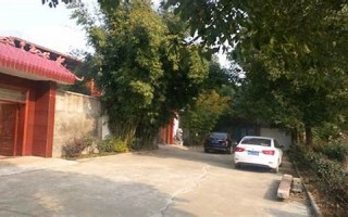 梦核(梦核素材)