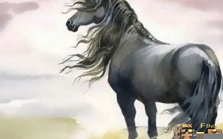 属马2022年的运势(属马2022年运势及运程每月运程1970年)