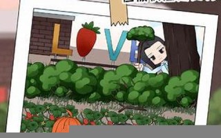 男神测试(测试 男神)