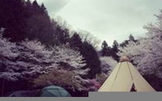 2015年11月29日(2015年11月29日农历)