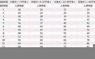 属狗的多大(2024年属狗的多大了)