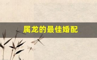 属龙的最佳婚配(属蛇的最佳婚配) 属龙的最佳婚配(属蛇的最佳婚配)