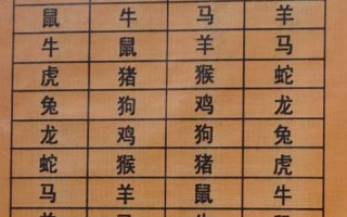 生肖配对(生肖配对表合与不合)