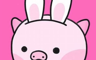 猪兔子(猪兔子简笔画)