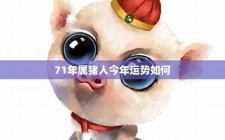 属猪人2013年运势(属猪人2024年全年运势及运程)