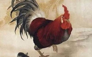 属鸡2022年的运势(属鸡2022年的运势及运程每月)