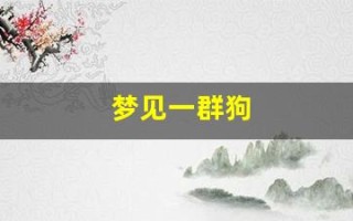 梦见一群狗(梦见一群狗咬自己是什么预兆)