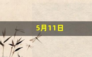 5月11日(5月11日有什么特殊意义)