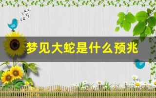梦见大蛇是什么预兆(梦见大蛇是什么预兆男人)