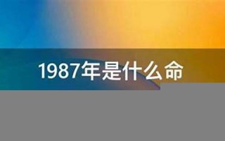 1987年出生是什么命(1987年出生是什么命五行)
