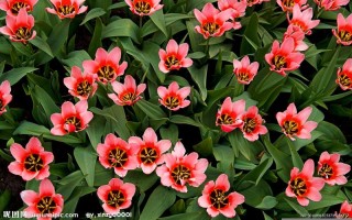 8月19日是什么节日(8月19日是什么节日纪念日)