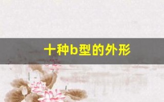 十种b型的外形(十种b型的外形特点)