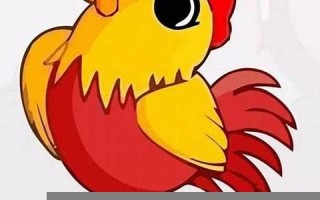 属鸡的人2013年运程