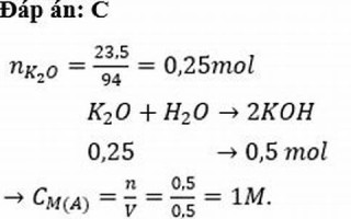 9.23(9.23农历是什么星座啊)