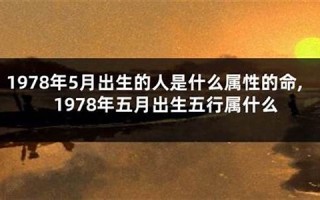 1978年出生是什么命(1978年出生是什么命五行)