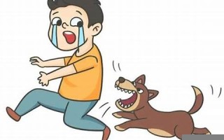 梦见被够狗咬了预示着什么(梦见被够狗咬了预示着什么意思女性)