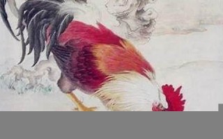 鸡年出生的人的命运(鸡年出生的人的命运如何)