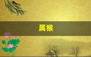 属猴(属猴的年龄表)