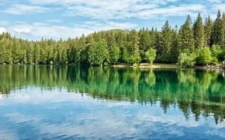 周公算命大全(周公算命大全查询免费梦见蛇)