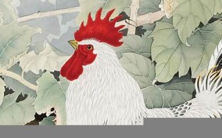 属鸡人2013年运势(属鸡人2023年运势)